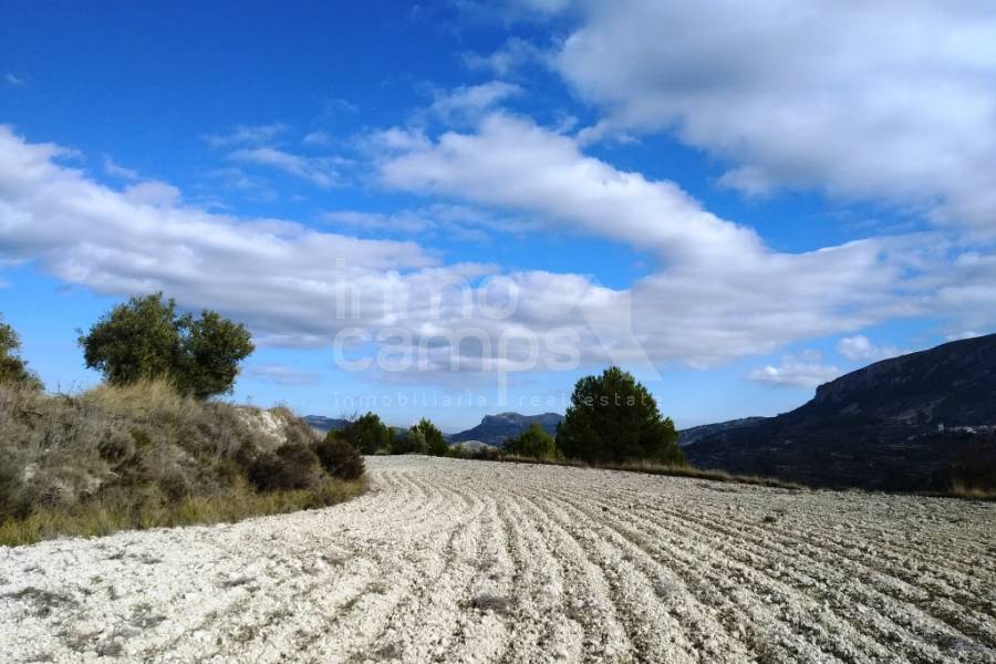 Venta - Parcela Rústica - Benillup