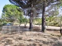 For sale - Country House - Penáguila