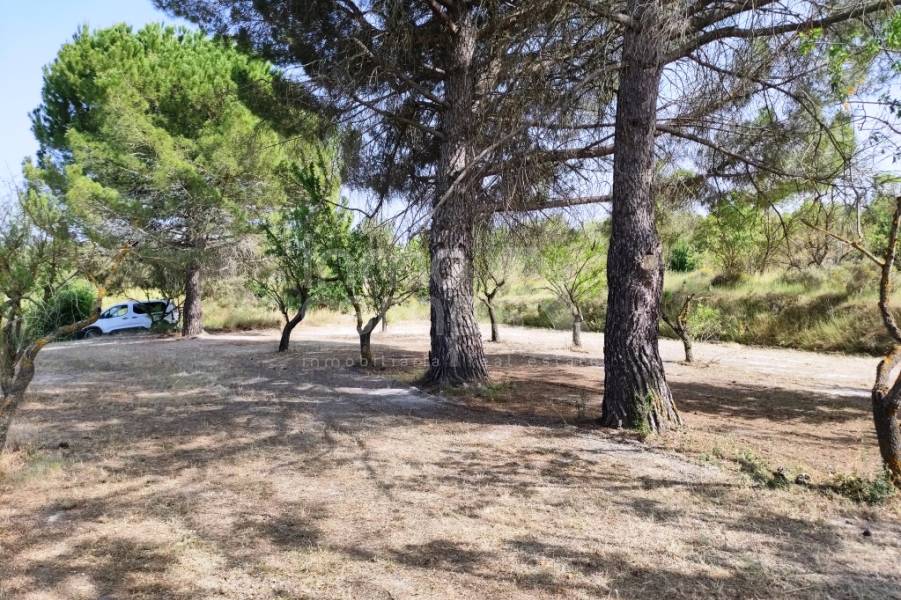 For sale - Country House - Penáguila