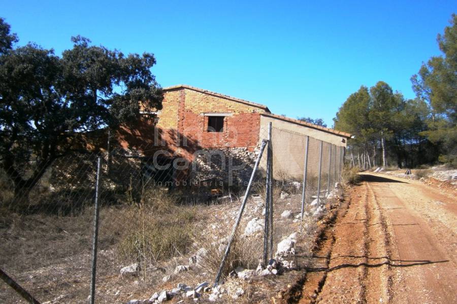 Venta - Finca - Agres