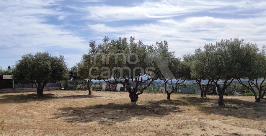 Venta - Casa de Campo - Ontinyent