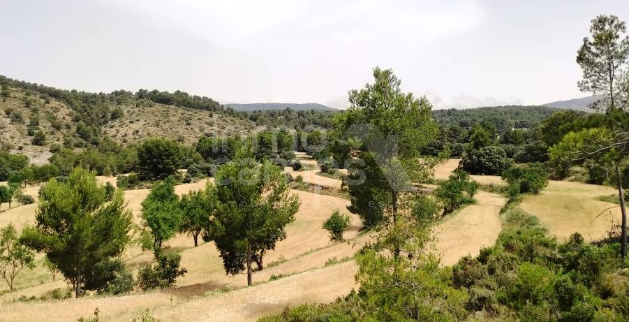 Venta - Finca - Alcoy