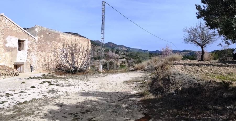 Venta - Finca - Torremanzanas