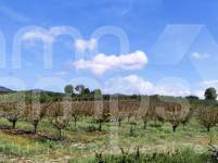 Venta - Finca - Alcocer de Planes