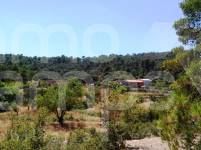 Te koop - Finca - Penáguila