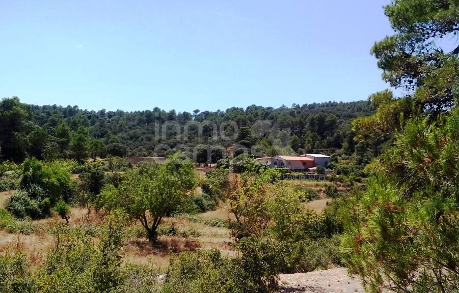 Te koop - Finca - Penáguila