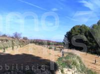 Te koop - Finca - Albaida