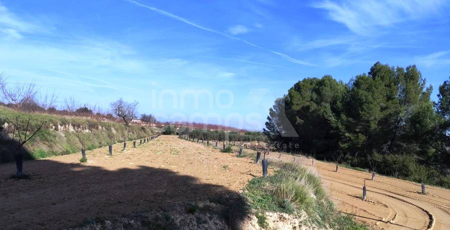 Venta - Finca - Albaida