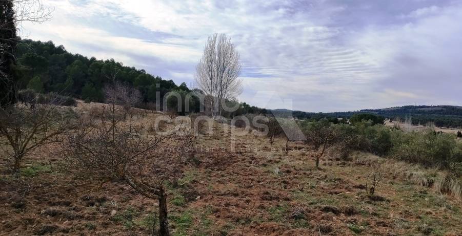 Venta - Finca - Bocairent