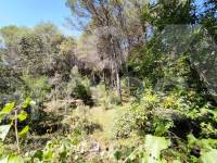 Venta - Casa de Campo - Villalonga