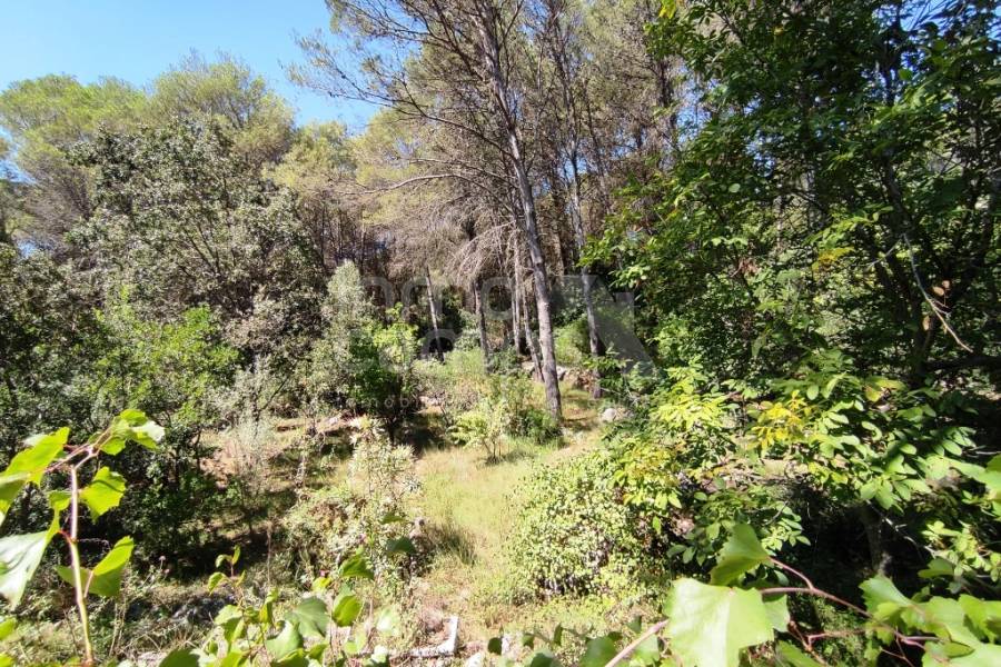 Venta - Casa de Campo - Villalonga