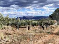 Venta - Casa de Campo - Muro de Alcoy