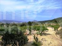 Venta - Casa de Campo - Penáguila