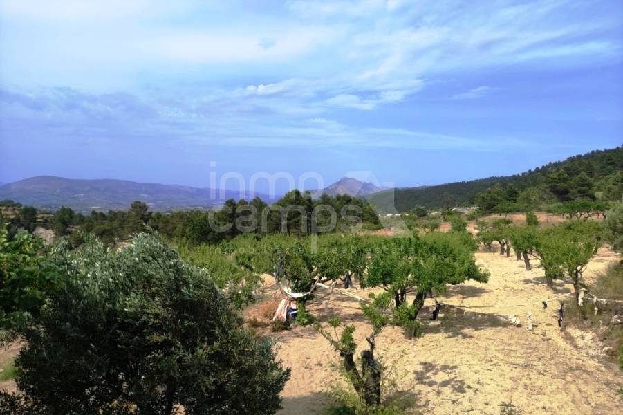 Venta - Casa de Campo - Penáguila