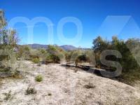 For sale - Rustic Land - Benimarfull