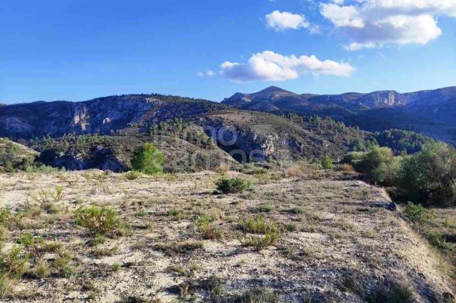 Venta - Casa de Campo - Planes