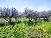 Venta - Casa de Campo - Agullent