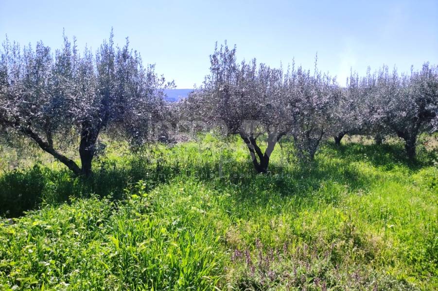 Venta - Casa de Campo - Agullent