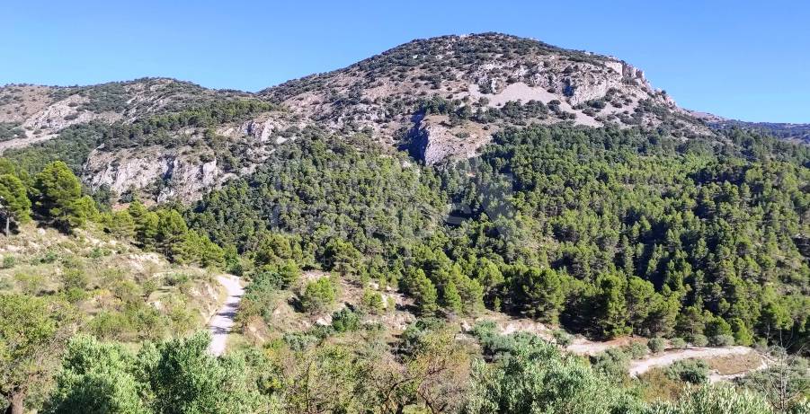 Venta - Casa de Campo - Benasau