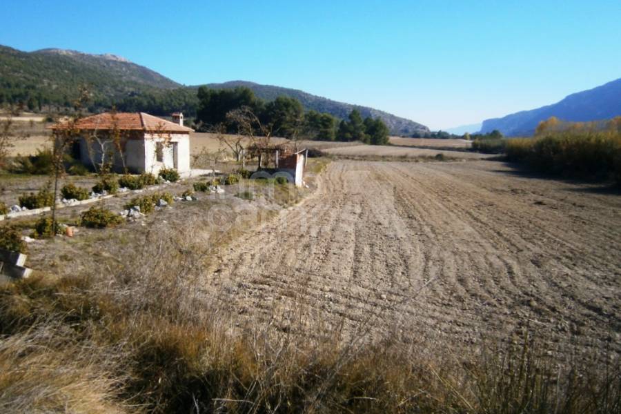 Te koop - Landhuis - Agres