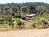 Venta - Finca - Penáguila