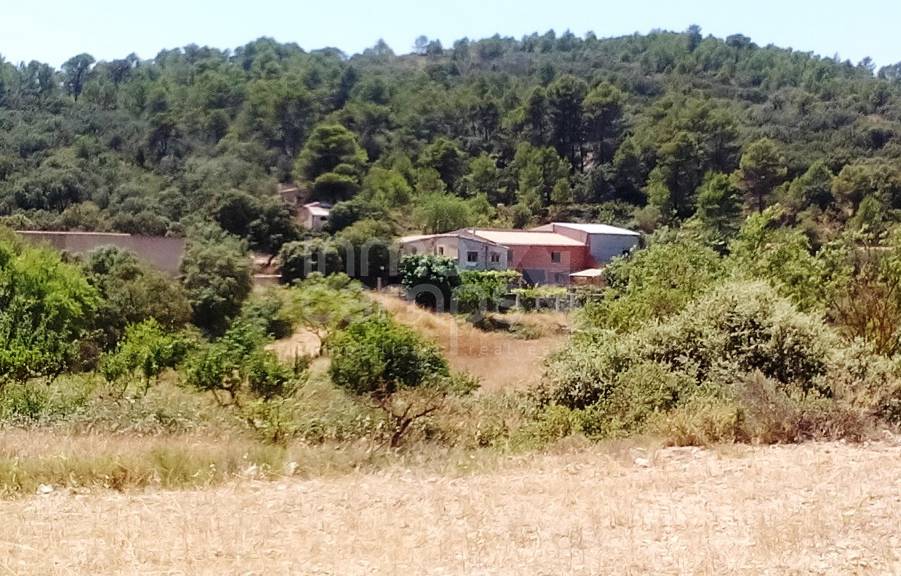 For sale - Finca - Penáguila