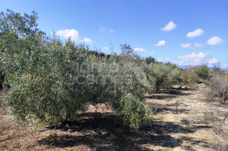 Venta - Casa de Campo - Albaida