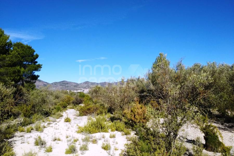 For sale - Rustic Land - Benimarfull