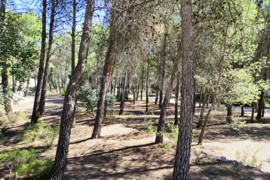 Venta - Casa de Campo - Alcoy