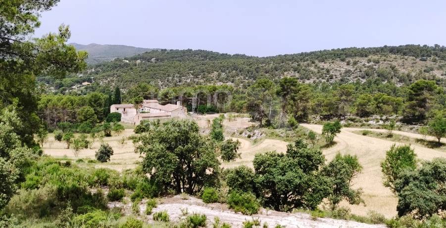 Venta - Finca - Alcoy