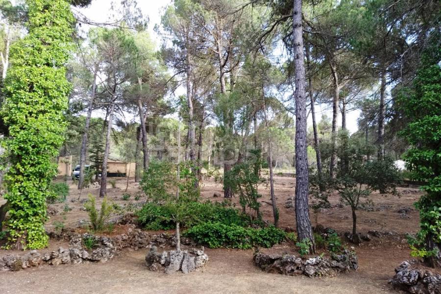 Venta - Casa de Campo - Bocairent