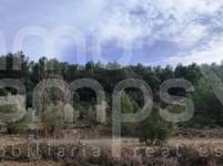 Venta - Finca - Bocairent