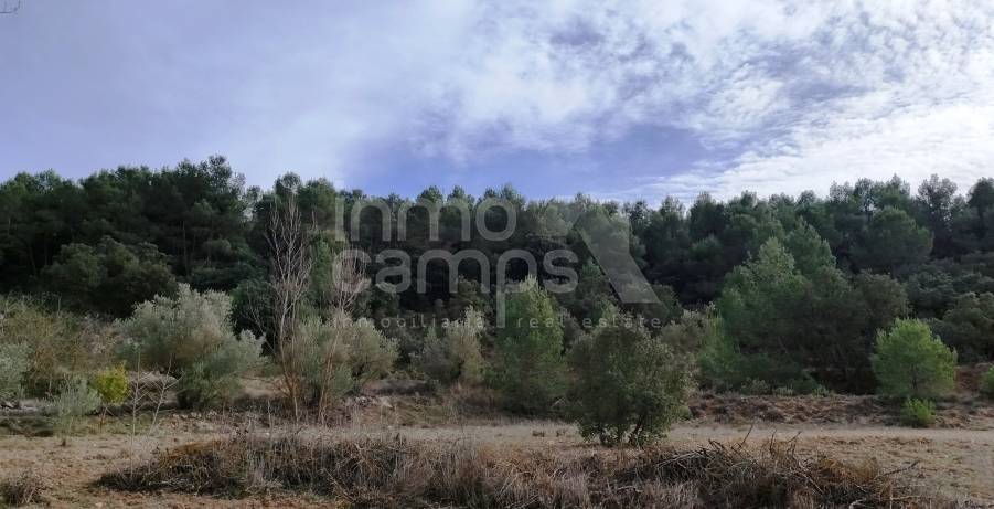 Venta - Finca - Bocairent