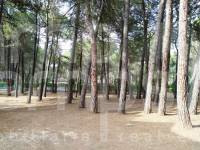Venta - Casa de Campo - Bocairent