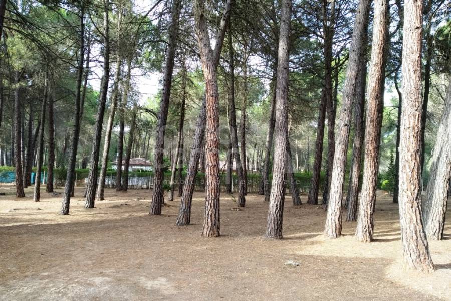 Venta - Casa de Campo - Bocairent