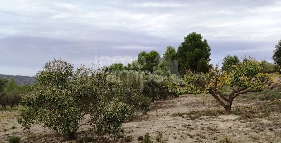 For sale - Country House - Ontinyent