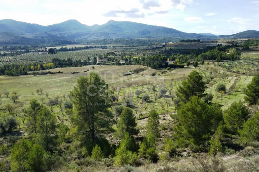 Venta - Finca - Benilloba