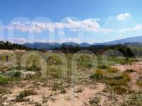 Venta - Finca - Alcocer de Planes