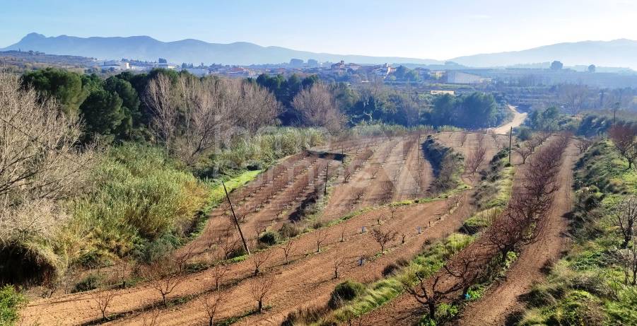 Venta - Finca - Albaida