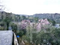 For sale - Country House - Cocentaina