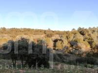 For sale - Finca - Bocairent