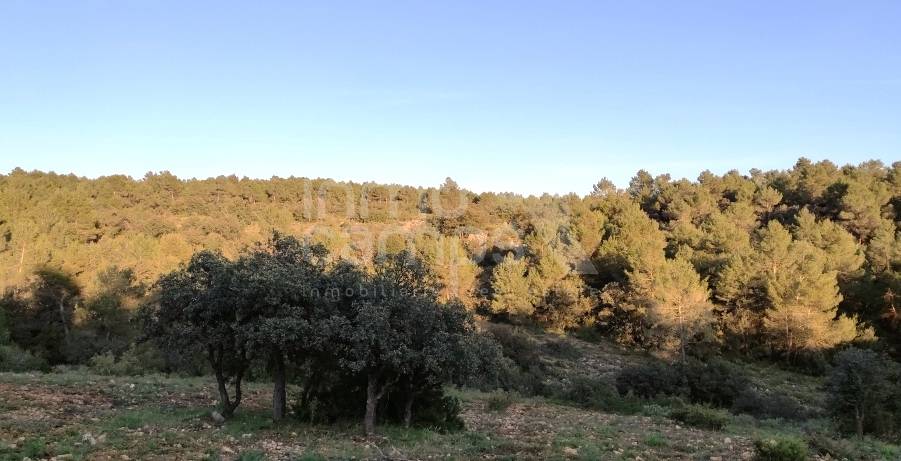 For sale - Finca - Bocairent