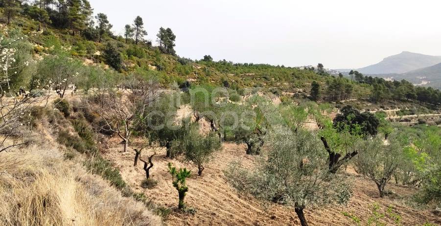 Te koop - Finca - Penáguila