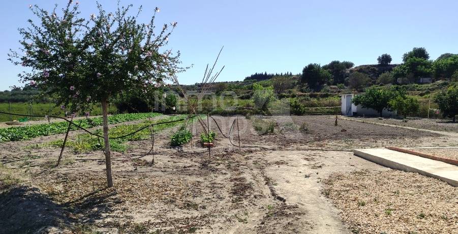 Venta - Casa de Campo - Montaverner