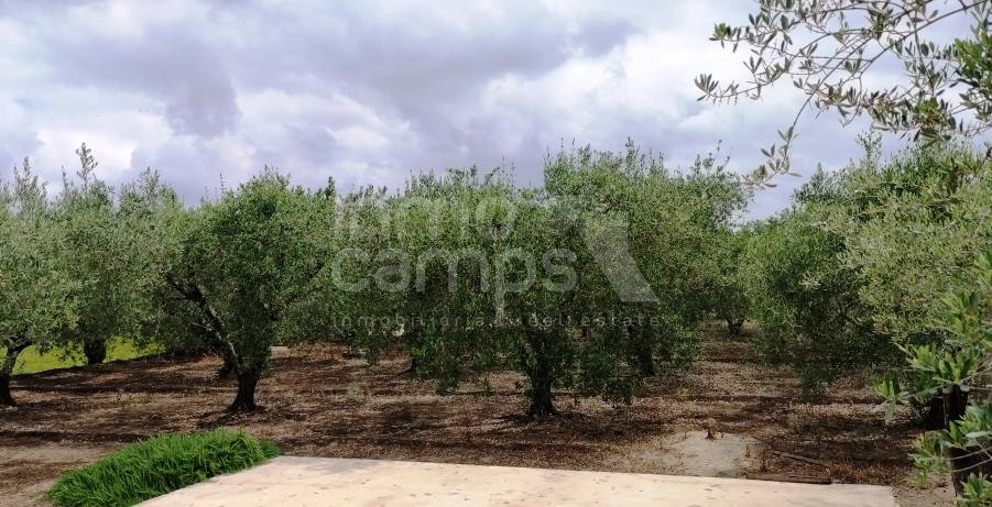 For sale - Country House - Ontinyent