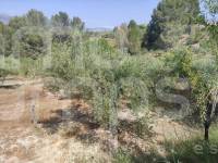 For sale - Country House - Benillup