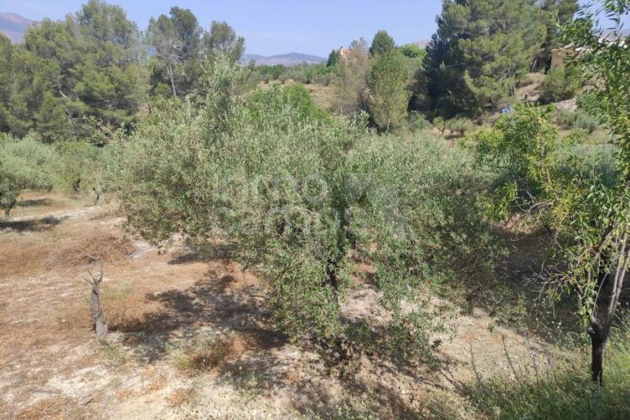 For sale - Country House - Benillup