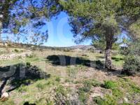For sale - Rustic Land - Benissa