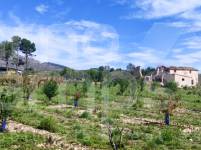 Venta - Finca - Alcocer de Planes