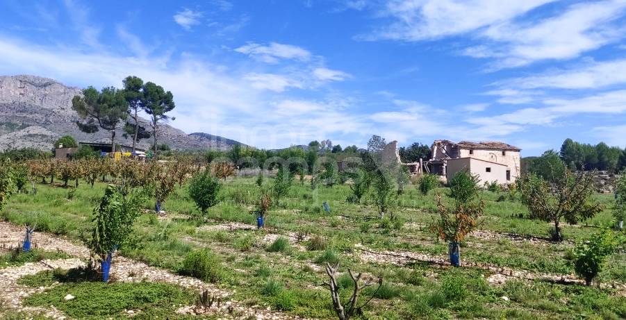 Venta - Finca - Alcocer de Planes